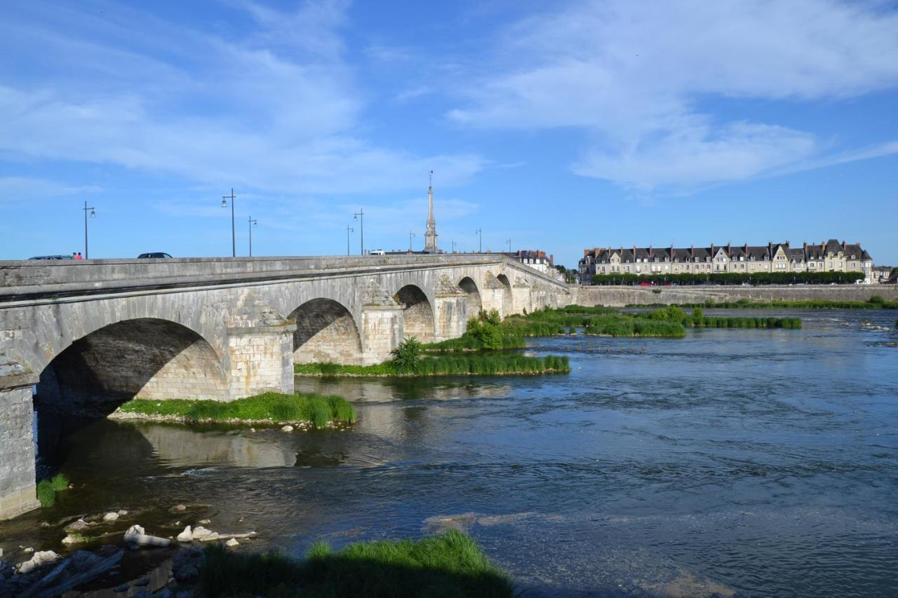 Entre Loire & Chateau - Vue Exceptionnelle A Blois Kültér fotó