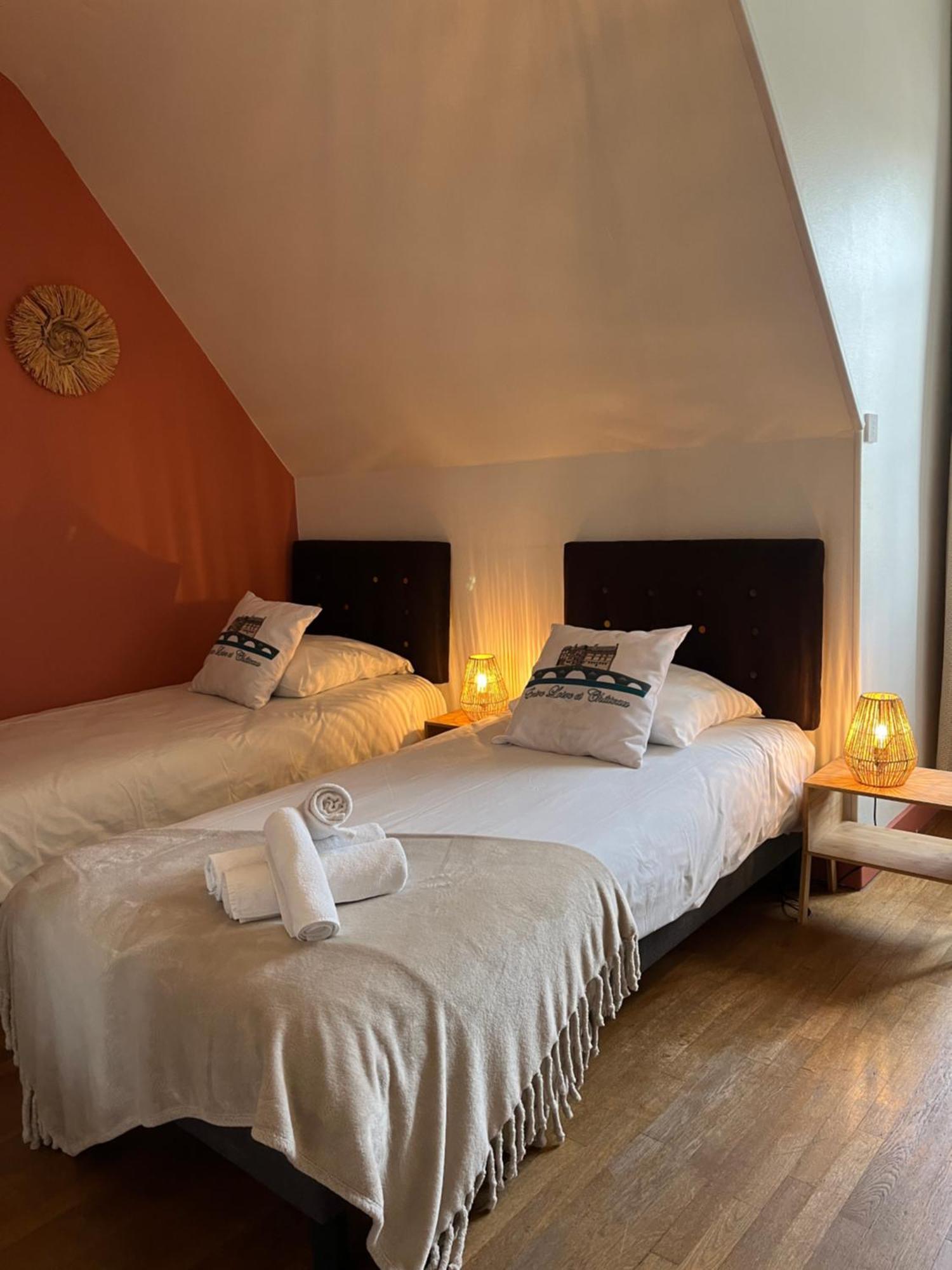 Entre Loire & Chateau - Vue Exceptionnelle A Blois Kültér fotó